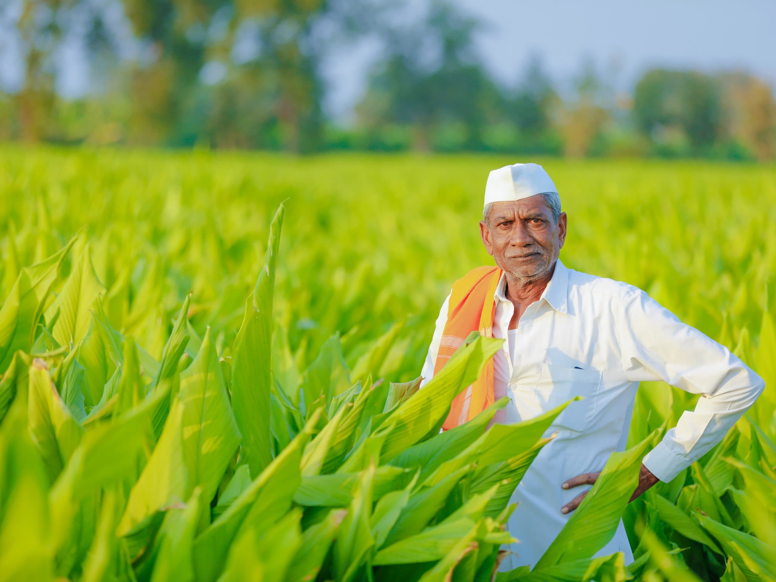 Farmer in field