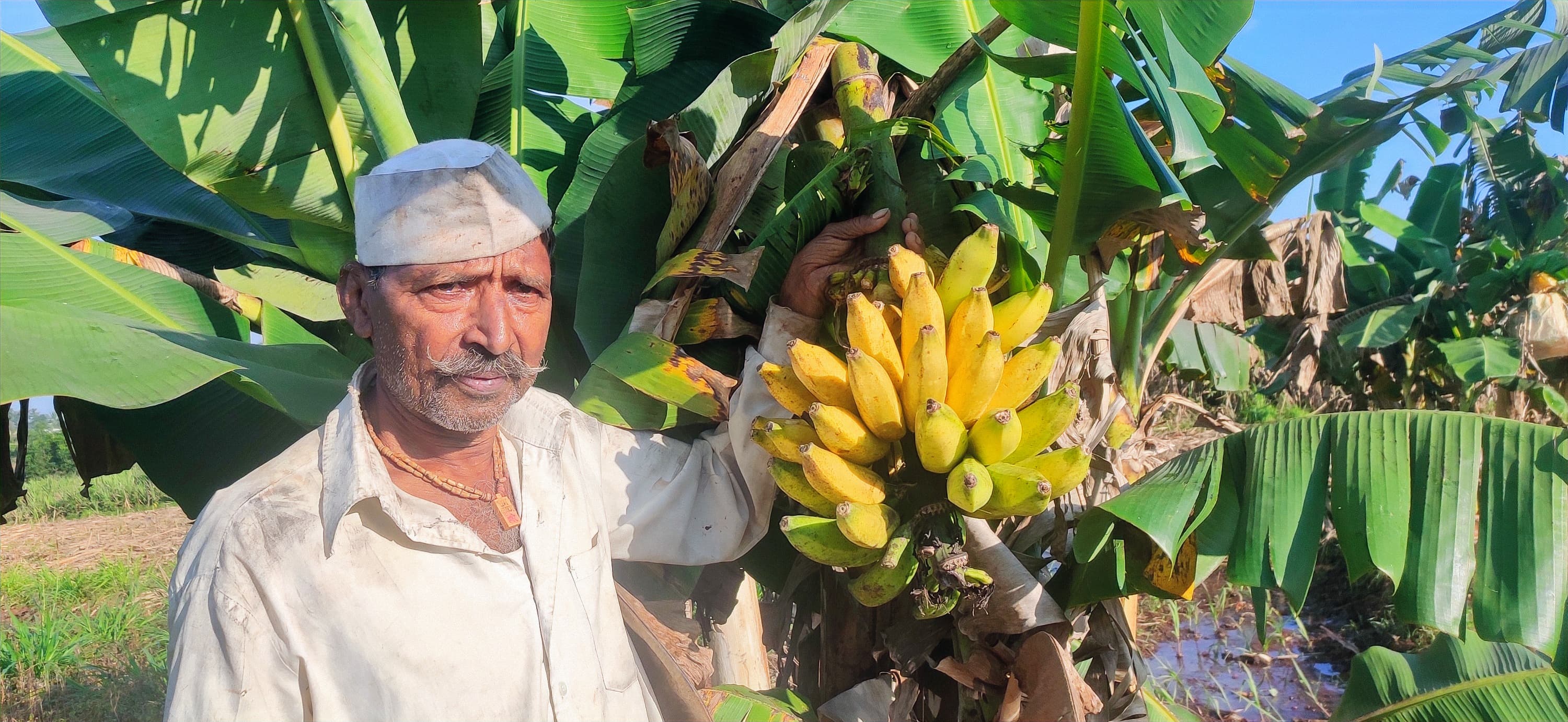 Rural development and agriculture